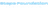 STEPE Foundation Logo